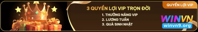 Khám Phá Các Chương Trình Khuyến Mãi Hấp Dẫn